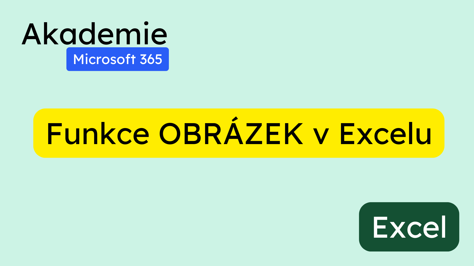 Funkce OBRÁZEK v Excelu